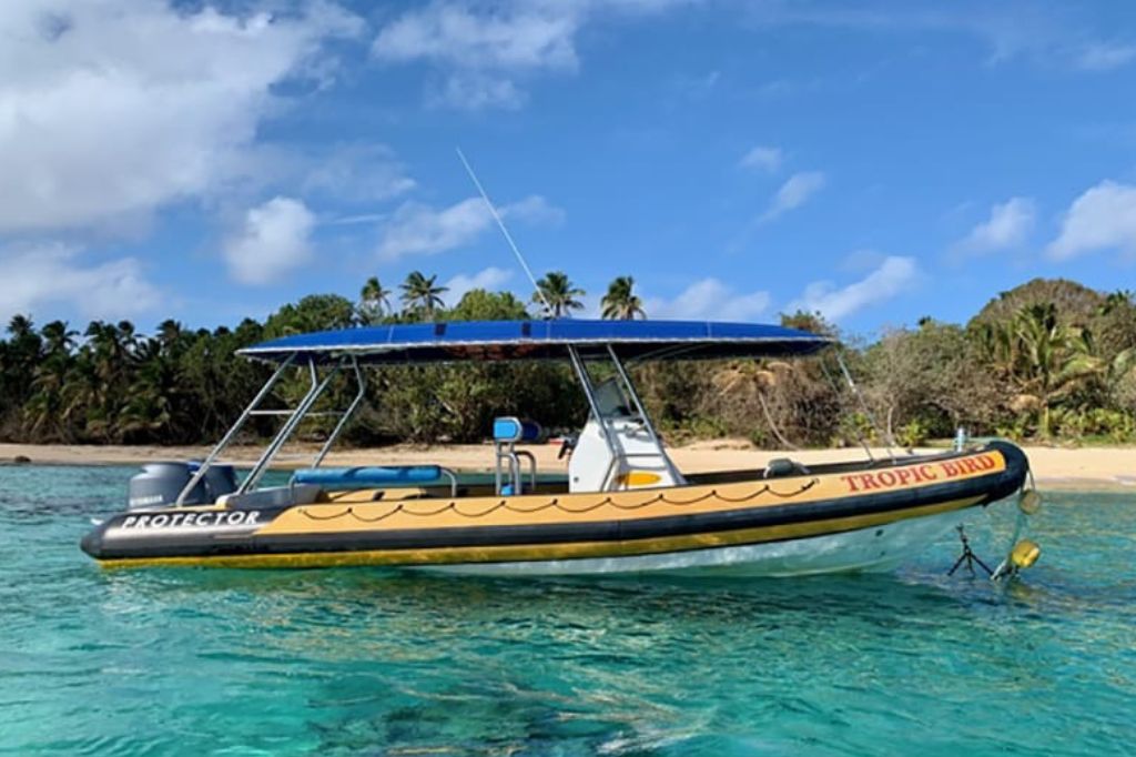 Whale boat called Tropic Bird